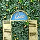 용산역 | 용산역 쇼니노 내돈내산 후기 / 흑백요리사 용산 맛집