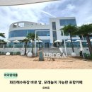 모리커피포항화진점 | 포항 아우로라, 아이랑 가기 좋은 화진해수욕장 모래놀이 카페