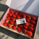 다혜농장 이미지