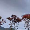 일동골프실내연습장 이미지