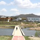 단재초등학교 이미지