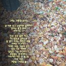 가랑 이미지