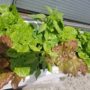 타이어마트경정비 이미지