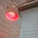 오현승한의원 이미지