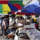 수산시장 이미지