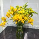 봄·초롱 하우스 이미지