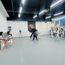 다오름태권도장 이미지