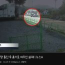 50대 남성이 카페에 돌진 후 여자 사장 흉기로 찔러 살인... gif 이미지