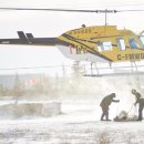 북극곰 로라 이미지