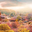 &#34;출입 통제됐던 그 길이 드디어 열렸다&#34;… 아직 모르는 사람이 더 많은 ‘비밀의 단풍길’ 이미지