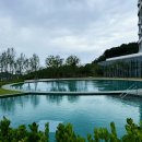 A Spirit of Journey(에이 스피릿 오브 저니) 이미지