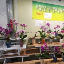 양재목장 이미지