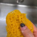 베베독 | 베베린 A등급 아기주방세제 &amp; 젖병세제 후기