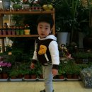 즐거운 성아어린이집 이미지