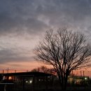 럭키식자재할인마트 이미지