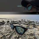 CAERUSO | CAERUSO 카이루소 이수근 편광선글라스 착용 후기