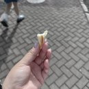 나무숙녀복 | [해외여행] 가을 홋카이도 삿포로 여행 - 2일차