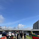 행복한 강아지 이미지