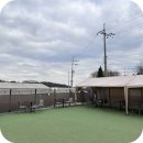 멍스 크로스 | 화성 애견카페 멍스크로스 뛰어놀기 좋은 강아지 운동장