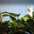 석암주유소 이미지