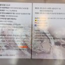 브라더새우장장담그는청년들 이미지