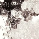 현대문인화와 사군자 이미지