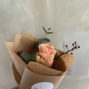 보태니컬 플랜(Botanical Plan)