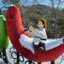 행정사사무소 세종 이미지