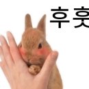 온맘푸드