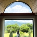 스테이율 이미지