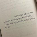 오파스타