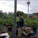 공범농장 이미지