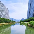 온천천시민공원 수국 이미지