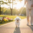 동물병원 누리에뜰 이미지