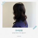 꼬아살롱 - 세종특별자치시 마음로 272-4 | 세종시 고운동 꼬아살롱 중단발 레이어드 S컬펌