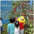 행복한아이들어린이집 이미지