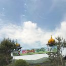 김유정 5월에 산골 | [춘천] 아이와 함께 꼭 가봐야 할 체험 동물농장 토끼랑 양이랑 _ 타조 먹이주기, 양 산책하기