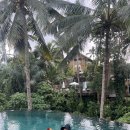 동부 비상 제003호 | 발리 여행 치안 위험할까요? 고민된다면 확인하세요!