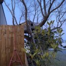 라성민박 이미지