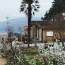 로뎀나무 펜션 이미지