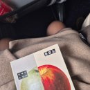 수출대로3길1L-4 | 2025.11 제주여행(1): 떠나요 제주도! (새별오름, 돌고래 투어)