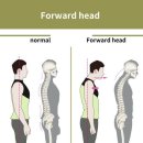 비너스헬스 이미지