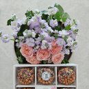 아뜰리에 궁 이미지