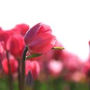 바다의 향기 이미지