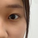 네일핌 이미지