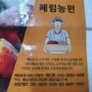 혜림농원 당진호박고구마 후기