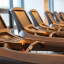 짐 화이트하우스 이미지