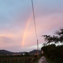 견우와 직녀농장 이미지