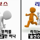 냥보스 이미지