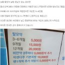 탈모약을 국내에서 제일 싸게 사는 루트 (국내 탈모 성지) 이미지